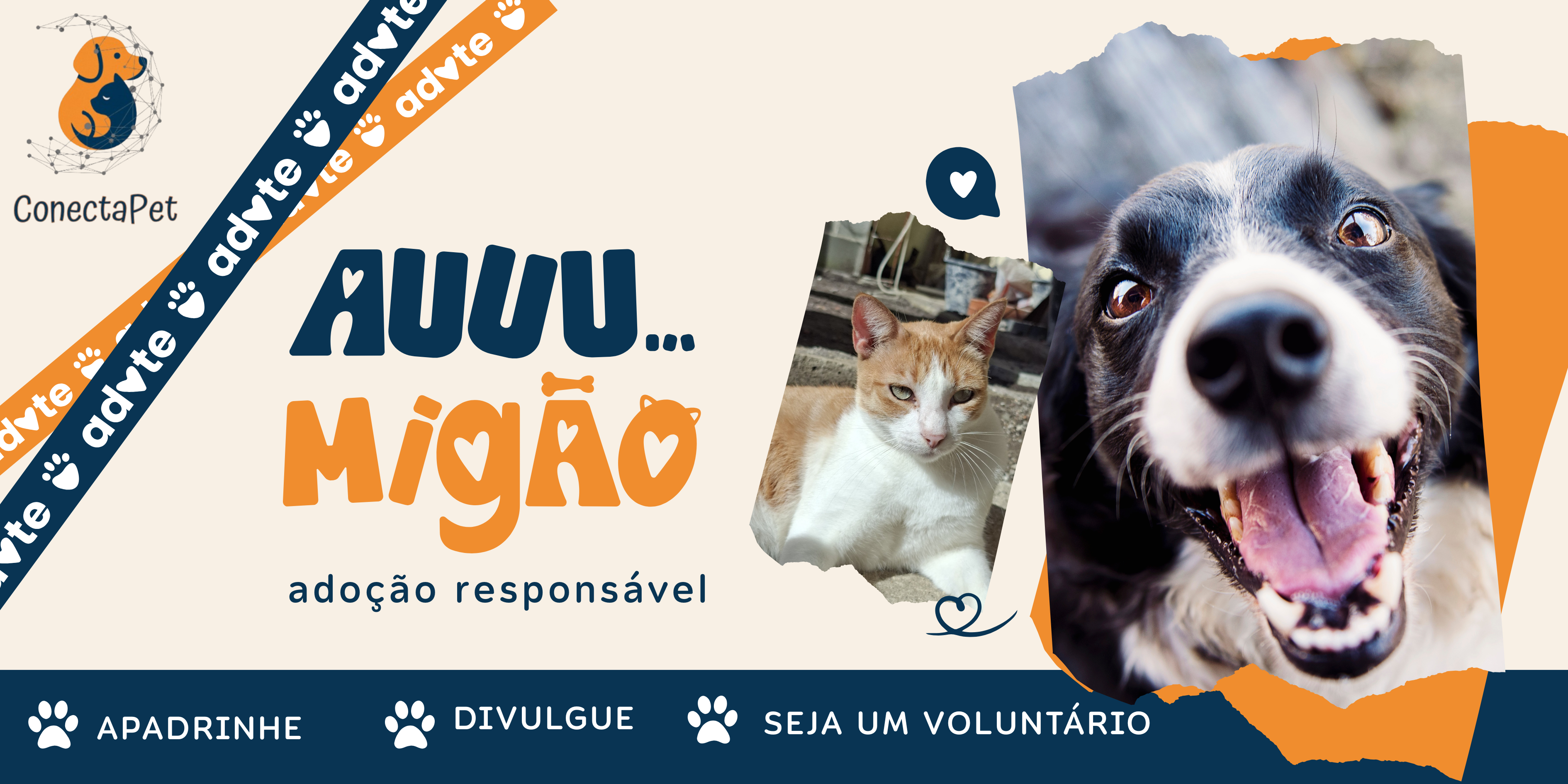 Banner de divulgação